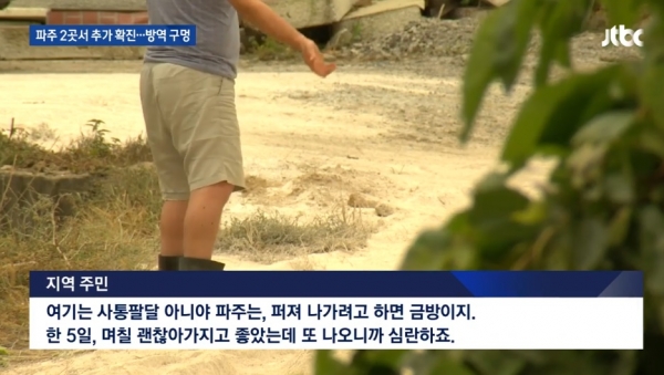 아프리카돼지열병 의심 신고/사진=JTBC 뉴스 방송캡처