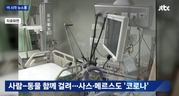 코로나 바이러스/사진=JTBC 뉴스 방송 캡처