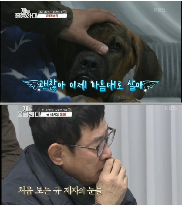 Photo = KBS'Dogs are great' broadcast capture
