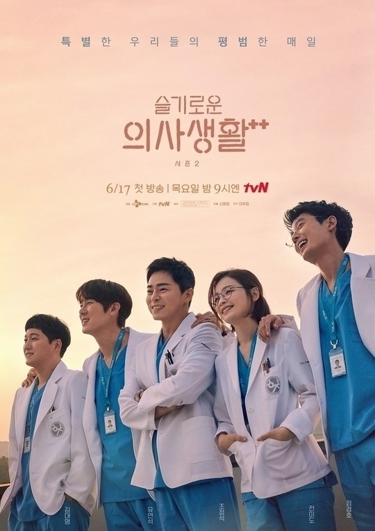 사진= tvN '슬기로운 의사생활' 포스터
