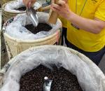 올해 1~9월 ‘커피 수입량 사상 최대’, 작년 동기 대비 얼마나 늘었나?