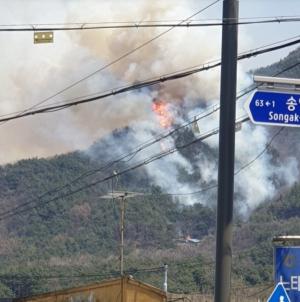 해운대·포항 이어 아산 설화산 산불, 큰 불은 잡혀…정부 "논밭태우기 행위 자제해야"