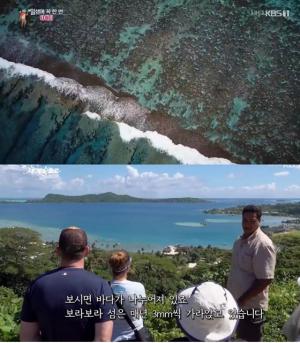 타히티 보라보라섬, 매년 가라앉고 있는 남태평양의 낙원…한국에선 직항 없이 경유 이용