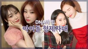 [NI카드뉴스] DNA의 힘, 아이돌 형제자매