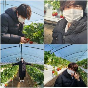 방탄소년단 진, 딸기농장서 행복한 근황 공개…RM "딸기대장 닉값하러 가셨군요"
