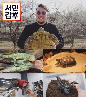 ‘서민갑부’ 고양 희귀 동물분양, 반려동물 용품 제작까지