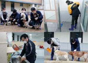 BBQ, 유기견 돌봄 활동 실시...'국제 강아지의 날' 봉사