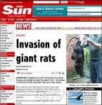 영국 마을 습격한 ‘거대 생쥐’에 주민들 ‘깜놀’