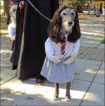 헤르미온느 강아지 ‘화제’, 교묘한 사진에 “두 발로 서있어?”