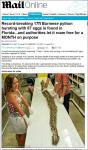 5m 괴물 뱀, 美 플로리다서 발견…"사람도 죽일 수 있어" 공포