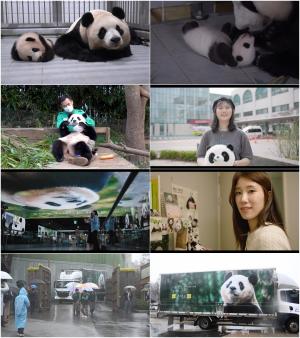 MBC 특집 다큐 ‘푸바오, 우리가 사랑한 시간 1354’, 내일(6일) 저녁 방송