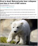 크누트 돌연사, 독일 시민 ‘충격’… ‘아기북극곰 우울증 앓아...’