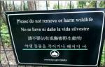 한국인에 대한 경고, 예의없는 뉴욕시? "어디서 반말이야"