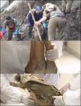 맘모스 뼈 발견, 길이 3미터 거대 몸집 ‘당시 사냥감?’